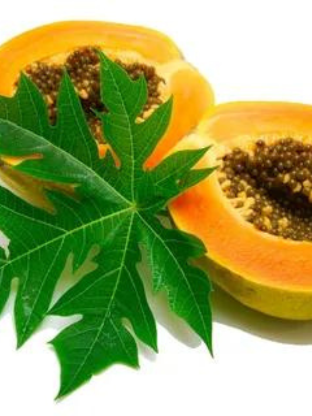 Papaya