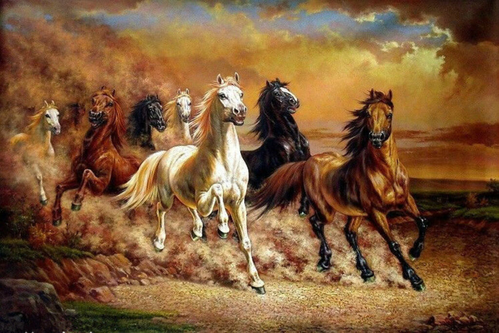 Horses picture