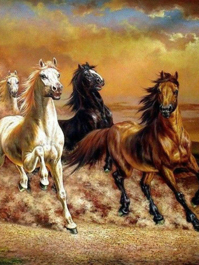 Horses picture